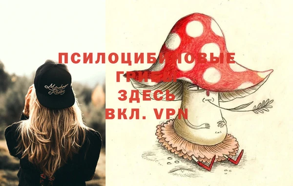 PSILOCYBIN Бронницы